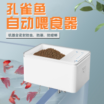 Automatic fish feeder guppies small smart feed feeder fish tank timing fish tropical fish mini fish