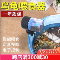 Turtle automatic feeder Brazilian turtle timing small feeding turtle feeding Turtle food feeding turtle feeding turtle water