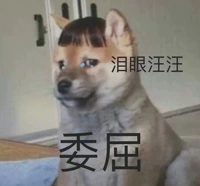 Симпатичная зона очистки дома!Сделать -Пеп, специальное утечка предложения, бесплатная доставка, за исключением удаленных деталей, не приготовьтесь