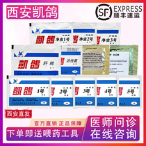 Parrot Bird Special Medicine Kedove 1 No. 2 3 5 No. 5 The full set of cold lathin active bacteria electrolytes liver essence