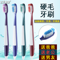 Medium Hard Hair Toothbrush Men Special to Smoke Stains Ultra Hard 10 Toothbrushes Soft Gross Deep Cleaning Household Assembly Assembly