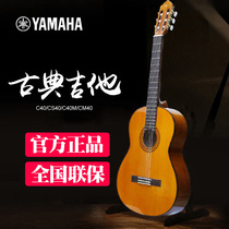  Yamaha Yamaha Classical Guitar C40 CS40 Beginner entry Student female 36 inch 39 inch Classical guitar