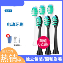 Universal electric toothbrush head for Kratax Sonic soft hair adult replacement clean gingival protection black and white powder