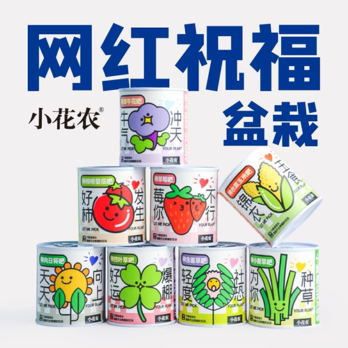 Посадка небольших горшечных растений, зеленых растений для офисных настольных компьютеров, детских волшебных консервированных растений, семян, стабилизирующих настроение, клубники в глухом ящике.