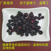 Freeze-dried blueberries dried blueberry nuggets baking raw materials freeze-dried fruit crispy healthy snacks 250g blueberry powder