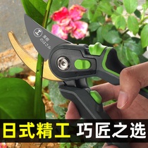 Cut Branches Scissors Fruit Tree Gardening Scissors Repair Branches Cut Branches Flowers Cut Garden Special Flowers Trim Branches Fruit Branches Cut
