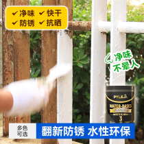 Paint waterborne antirust paint anti-corrosion railing door door renovation-free rust color Black White