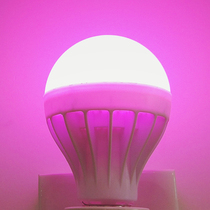Pink LED light energy saving light atmosphere fill light bulb E27 screw purple pink purple light pink single light source color