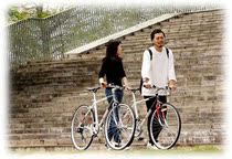 New export Japan 700C variable speed bicycle road bicycle 7-speed variable speed road bicycle racing
