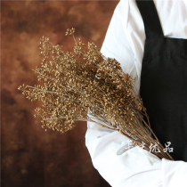 Natural dried branches home decoration dried fruit berries dried branches millet fruit shooting props literary Photo window dried flowers