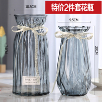 (Two-piece set)European glass vase Transparent color hydroponic plant vase Living room decoration ornament flower vase