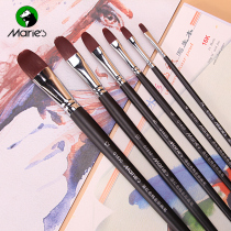 Marley brush water chalk set Fan Pen art color paint pen acrylic art Special set pig bristles professional hand drawing beginners students painting pen oil painting brush adult
