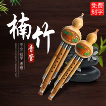Yunnan Hulusi Musical Instrument Beginners Primary School c Tuning Adult Down B Tune Indoors Self-study Professional Performance Type