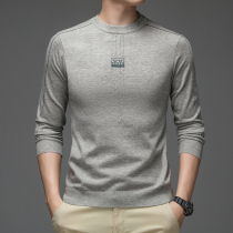Spring and autumn long sleeve T-shirt mens thin round neck sweater with base shirt Korean version of mens loose solid color sweater