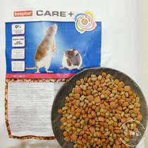 Male seminary German Beapar Weibar Care Care Great White Blossom Branches of Wholesynthetic Grain Supplies