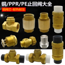 Check valve PPR tap water pipe 4 points 20 household PE pipe water pump with inner and outer wire copper vertical horizontal check valve