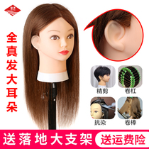  Full real hair headform Big ears apprentice hands-on barber shop dummy head model head cut headform can be hot dyed and blown shape
