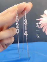 925 silver needle earrings female new wave fashion long style full drill 1314 flow suelline net red hominin 520 anti-lose ear decoration