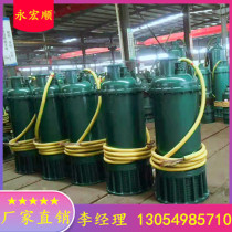  Explosion-proof grade BT4 submersible pump BQS30-240 6-55 N Mine flameproof sewage submersible pump