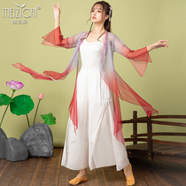 Sister color classical dance gauze clothing body rhyme practice clothing female elegant long gradient top Chinese dance table performance