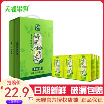 Tian Wa tea house honey grapefruit tea 250mlx16 box black tea Apple peach fruit flavor tea beverage