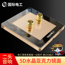 (Two-head audio)type 86 household one-head audio socket Universal wall concealed switch socket panel