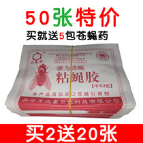 Stick Fly Paper strong Dachao sticky fly board fly killer home fly artifact