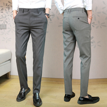 Western Pants Thin mens spring and autumn season Business casual Mens pants straight cylinder Han version 100 hitch pants Thunderpants Thunderpants Western dress pants
