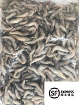 Chenyang Aquarium main push feed frozen river shrimp frozen white shrimp medium and large fish feed map parrot silver dragon dog head