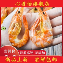 Grilled shrimp dried ready-to-eat large extra-large carbon grilled prawns snacks natural food dried seafood
