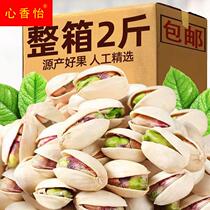 New goods pistachios a whole box of large grain salt baked flavor bulk dried fruit nuts snacks gift package