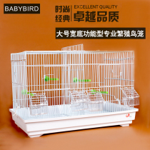 Birds with high-grade ornamental pearl embroidered eye bird Jade bird Hibiscus bird Parrot cage with partition net Bird breeding bird cage