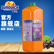 Sunquick new blackcurrant juice concentrate 2 5L cocktail accessories juices