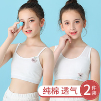 Girl underwear small Vest development period primary school girl girl girl cotton adolescent baby bra sling chest