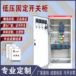 XL-21 power electric control box Dual power switch complete set wiring bull socket floor distribution cabinet assembly
