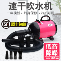 Pet water blower dog hair dryer large dog special hair blowing artifact mute household high power dog