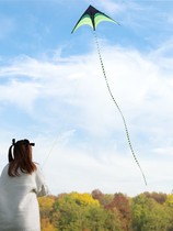 New kite children long tail breeze easy fly Prairie outdoor beginner adult reel