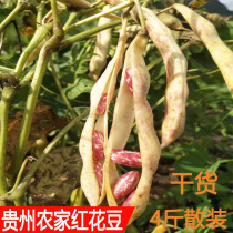 Farmhouse safflower beans flower beans Guizhou specialties 2021 new products dried green beans pickles rice kidney beans 4kg