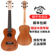 Snail C- 06 ukulele 23 Beginners Adult Men and Women Introduction ukulele ukulele Little Guitar