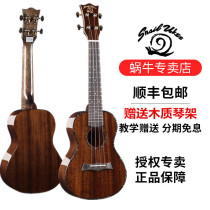 SNAILUKES snail RT-C ukulele 23 inch boys and girls beginner ukulele small guitar