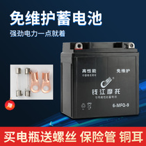 Motorcycle battery 12v7a maintenance-free universal Suzuki King Diamond Leopard Prince Qianjiang 12V9AH motorcycle battery