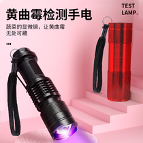 Aflatoxin detection pen fluorescent agent detection pen Baby Special banknote detector purple light Mini small money detector banknote fluorescent agent Aspergillus flavus tester portable banknote detector lamp