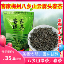 2021 New Tea Hakka Meizhou Super Fengshun Baxiang Mountain Green Tea Green Tea 500g Farmhouse Fried Tea Yunwu Tea