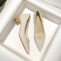 Fans 2022 new nude color pointy-style low heel single shoe woman 100 hitch heel temperament heel high heels