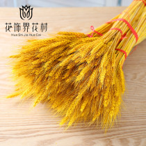Natural Cotton Wheat Dried Flower Ornament Home Nordic Style Cotton Branch Flower Art Wheat Ear Opening Flower Basket Dried Flower