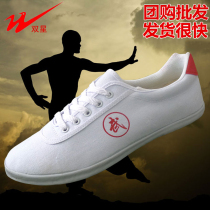 Double Star Martial Arts Shoes Tai Chi Shoes Anti-slip Canvas Training Shoes for Men and Women Children Martial Arts Performance Training Shoes White Shoes