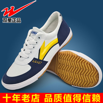 Double star sports shoes canvas table tennis shoes double star table tennis shoes mens and womens training shoes casual fitness shoes