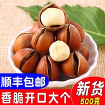Northeast specialty big hazelnut wild fresh Tieling original pregnant women snacks dried fruit open nuts fried 500g