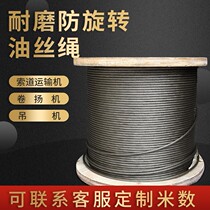 Anti-rotation steel wire rope electric hoist sling hoisting windlass Sow Road transport engine oil wire rope hoisting machine abrasion resistant