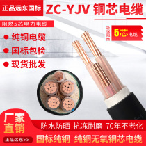 Far East Cable Pure Copper Core ZC-YJV Flame Retardant Cable 5 Core 2 5 4 6 10 16 25 Square GB Cable